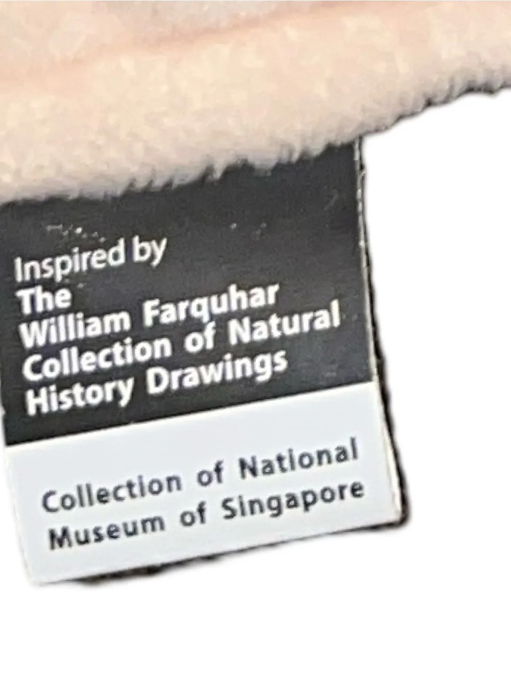 Rare William Farquhar Collection of Natural History Drawings Star Cat/ Bat Plush